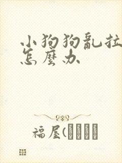 小狗狗乱拉乱尿怎么办