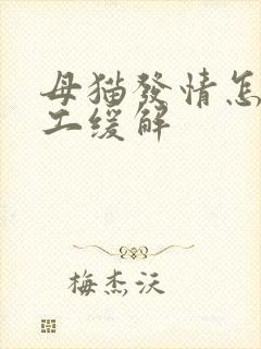 母猫发情怎么人工缓解