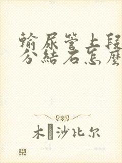 输尿管上段1公分结石怎么治疗