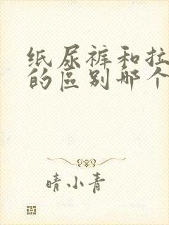 纸尿裤和拉拉裤的区别哪个比较好