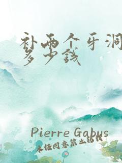 补两个牙洞需要多少钱