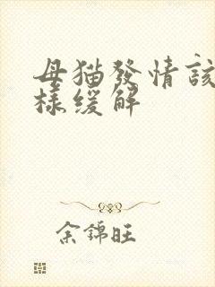 母猫发情该怎么样缓解