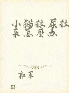 小猫拉尿拉不出来怎么办