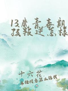 13岁青春期男孩叛逆怎样引导