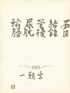 输尿管结石掉入膀胱后能自动排出吗