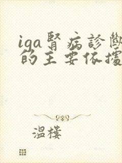 iga肾病诊断的主要依据是什么