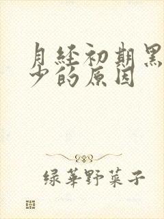 月经初期黑色量少的原因