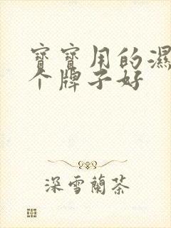 宝宝用的湿巾哪个牌子好