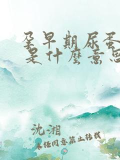 孕早期尿蛋白2 是什么意思,严重吗