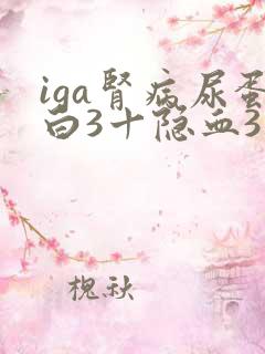 iga肾病尿蛋白3十隐血3十是几级