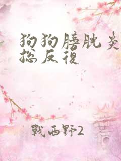 狗狗膀胱炎尿血总反复