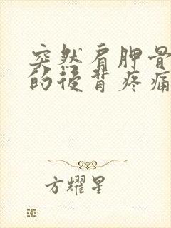 突然肩胛骨下方的后背疼痛