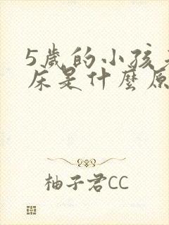 5岁的小孩老尿床是什么原因