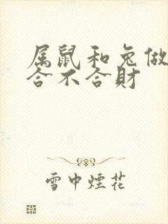 属鼠和兔做生意合不合财