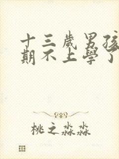 十三岁男孩叛逆期不上学了怎么办