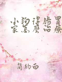 小狗得肠胃炎在家怎么治疗