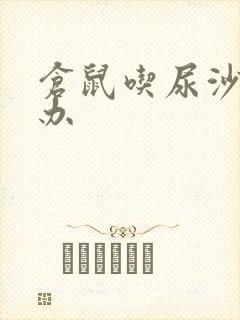 仓鼠吃尿沙怎么办