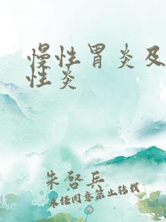 慢性胃炎及反流性炎