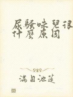 尿骚味儿很重是什么原因