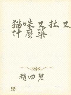 猫咪又拉又吐吃什么药