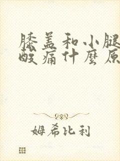 膝盖和小腿肌肉酸痛什么原因