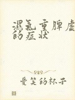 湿气重脾虚气虚的症状