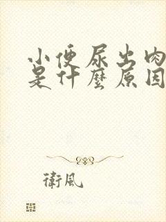 小便尿出肉颗粒是什么原因