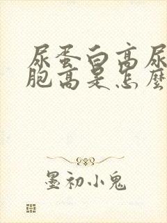 尿蛋白高尿红细胞高是怎么回事