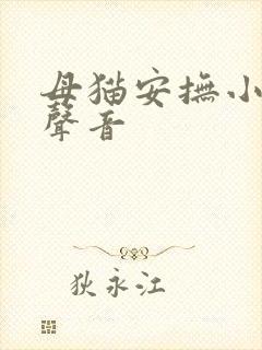 母猫安抚小猫的声音