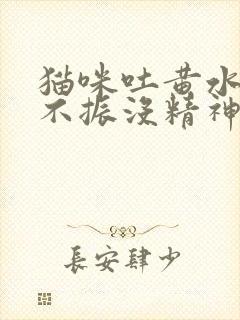 猫咪吐黄水食欲不振没精神