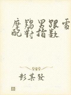 摩羯男跟处女女配对指数