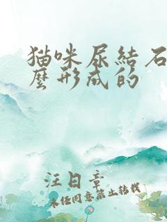 猫咪尿结石是怎么形成的