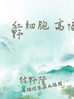 红细胞 高倍视野