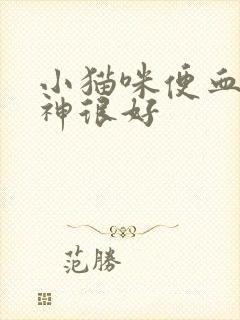 小猫咪便血但精神很好