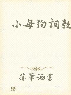 小母狗调教黄色