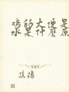 鸡的大便是白色水是什么原因