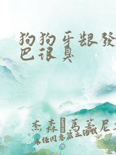 狗狗牙龈发炎嘴巴很臭