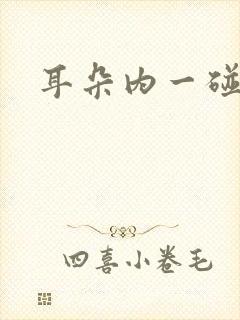 耳朵内一碰就疼