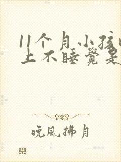 11个月小孩晚上不睡觉是什么原因