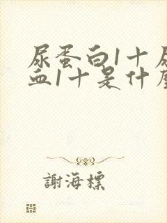 尿蛋白1十尿隐血1十是什么病