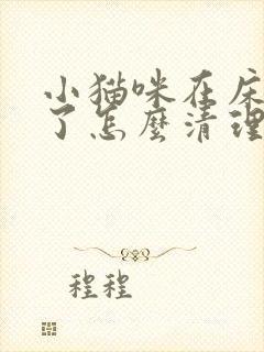 小猫咪在床上尿了怎么清理