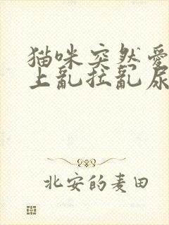 猫咪突然爱在床上乱拉乱尿怎么回事