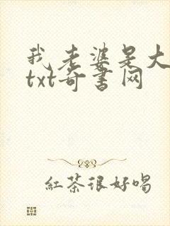 我老婆是大明星txt奇书网