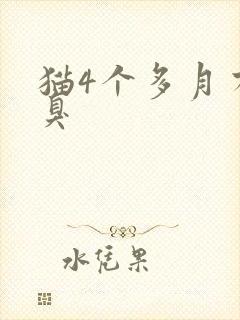 猫4个多月有口臭