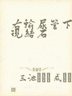 右输尿管下段出现结石