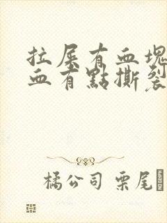 拉屎有血块和鲜血有点撕裂的痛感