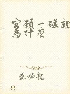 宫颈一碰就出血为什么