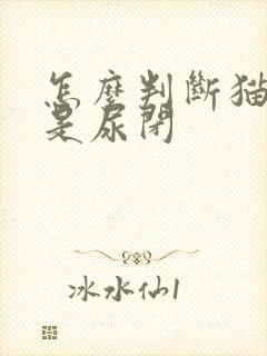 怎么判断猫是不是尿闭