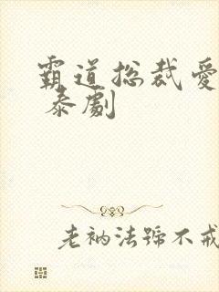 霸道总裁爱上我 泰剧