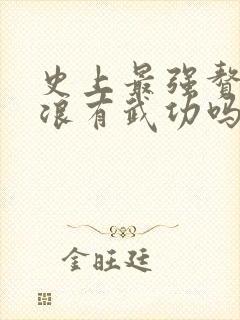 史上最强赘婿沈浪有武功吗